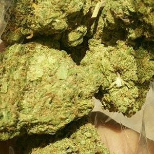 Meet your Posher, Joel